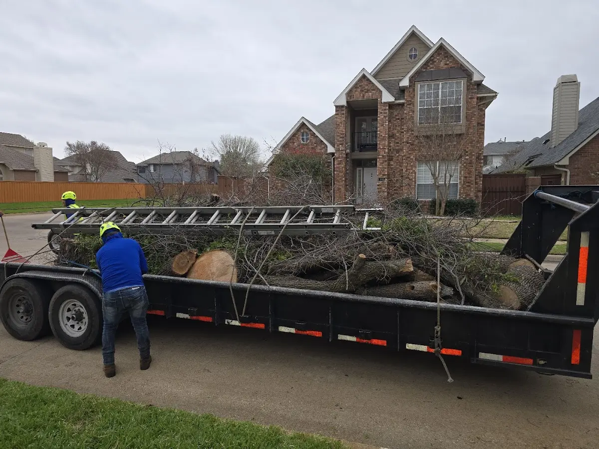Expert Tree Fertilization with proper safety equipment in Guin